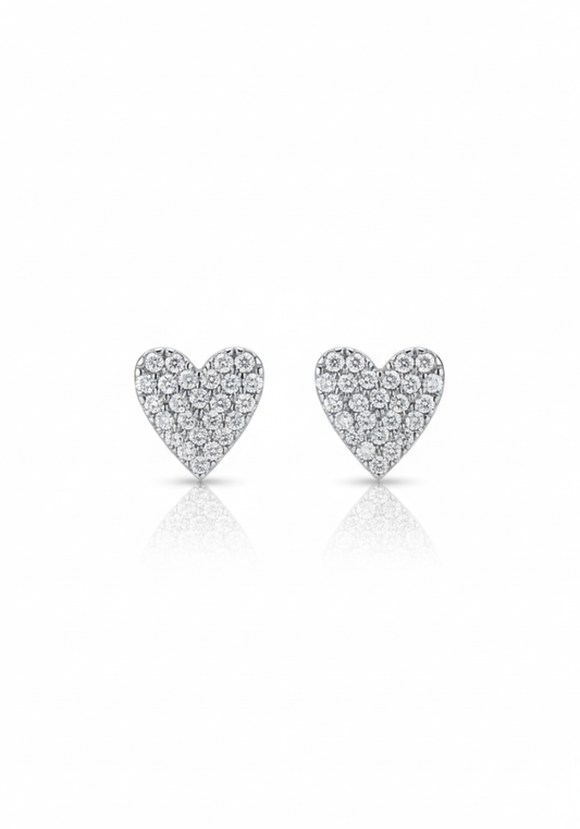 Boucles D'Oreilles Lisa Argent