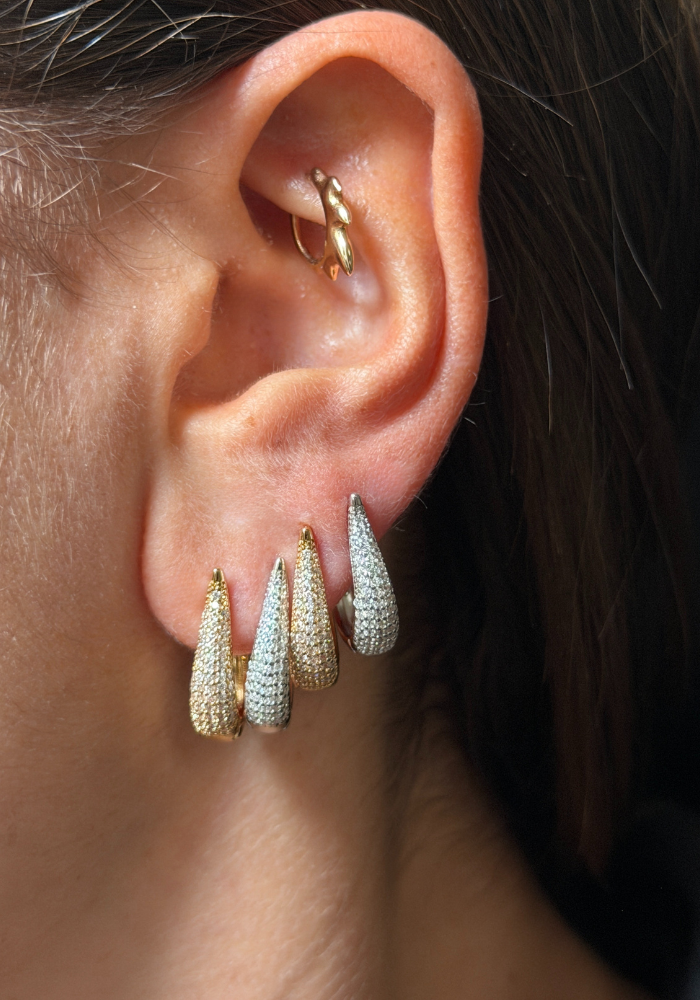 Boucles D'Oreilles Georgy Moyen Modèle Argent