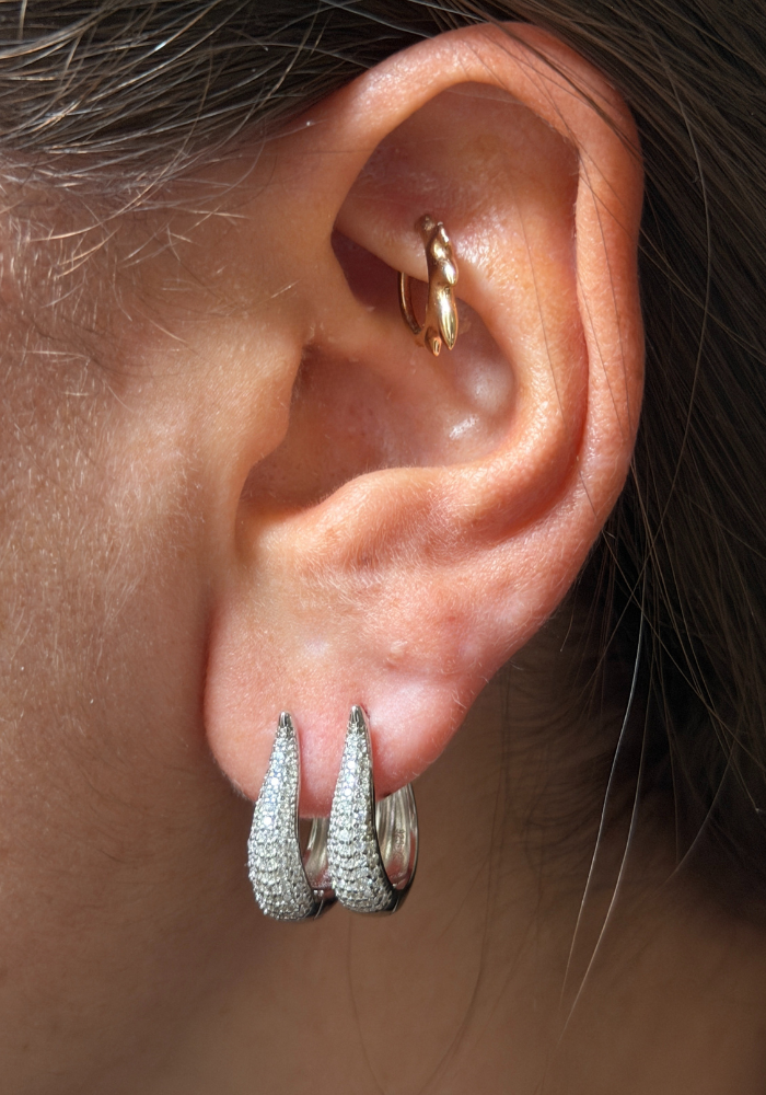 Boucles D'Oreilles Georgy Moyen Modèle Argent