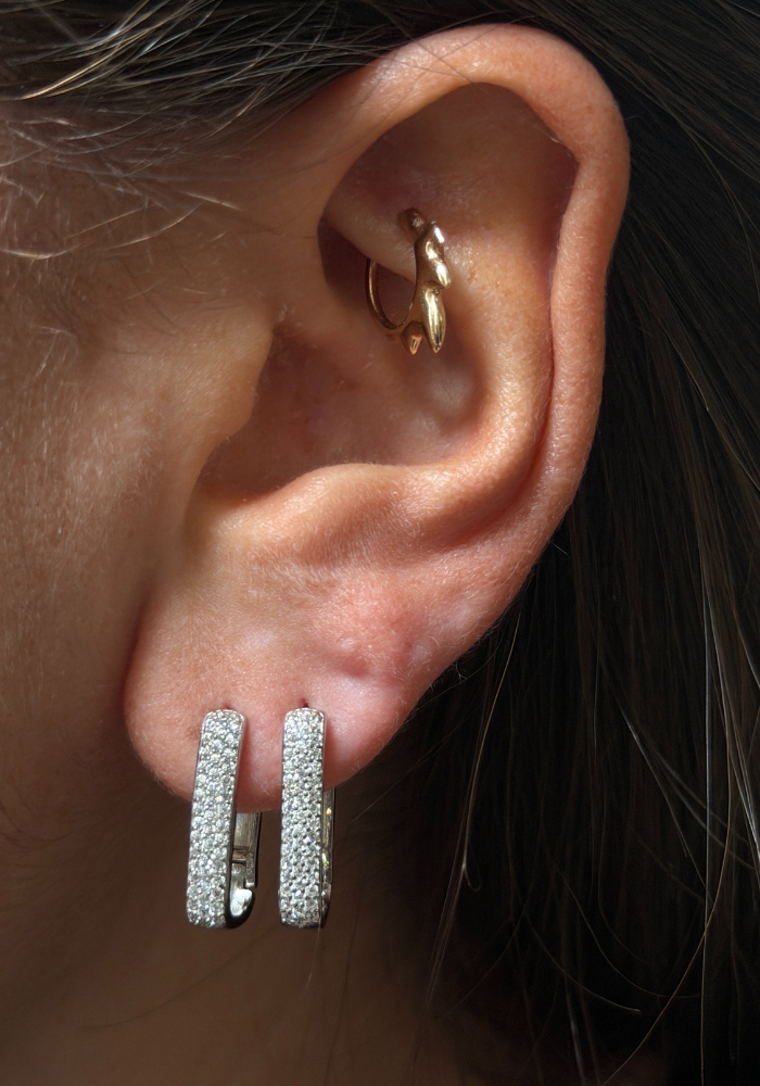 Boucles D'Oreilles Glinda Grand Modèle Argent