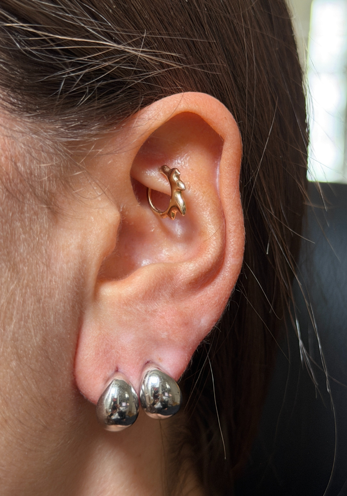 Boucles D'Oreilles Jimmy Grand Modèle Argent