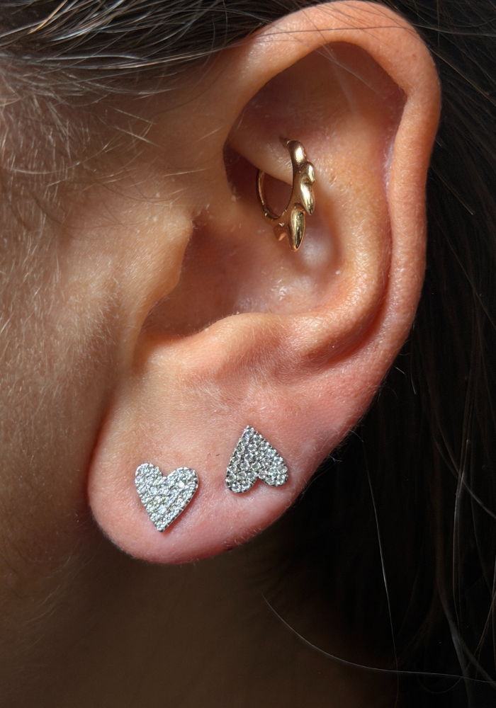 Boucles D'Oreilles Lisa Argent