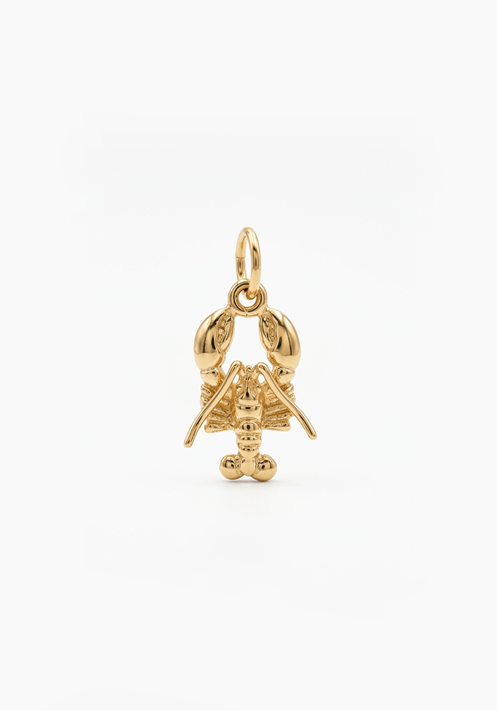 Charms Pour Personnalisation