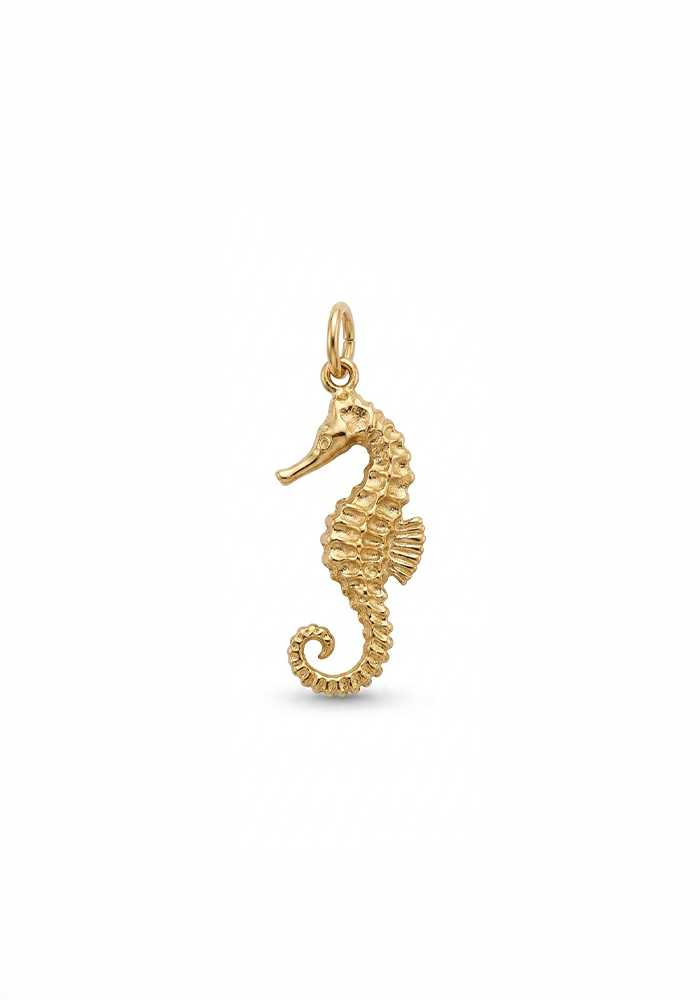 Charms Pour Personnalisation