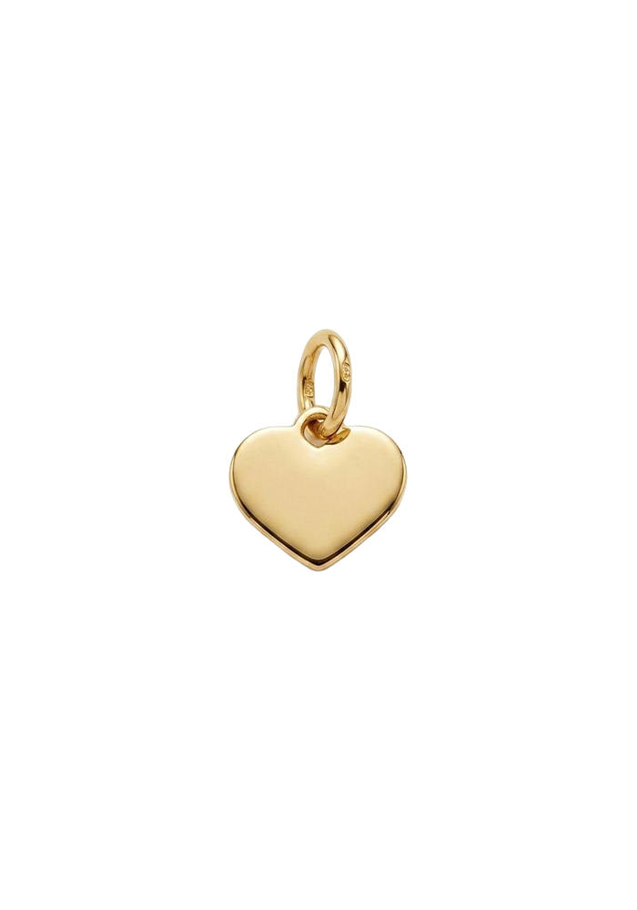 Charms Pour Broches