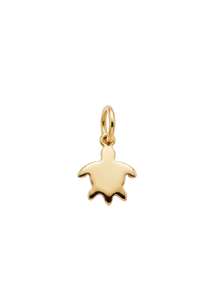 Charms Pour Broches